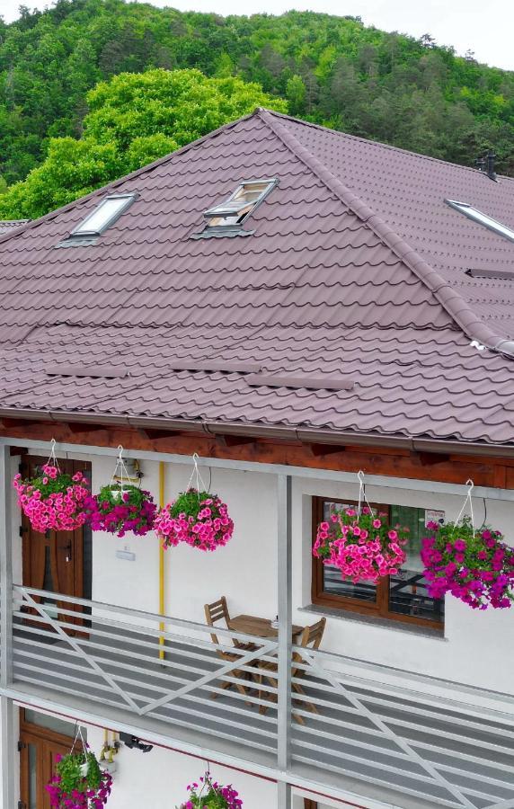 Vaias Aparts Targu Neamt Exterior foto